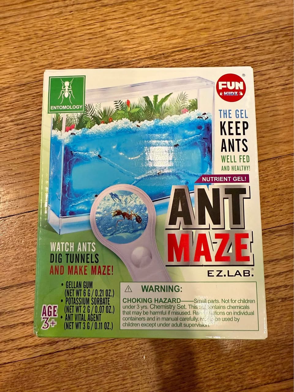 Fun Kidz Ant Maze EZ.Lab