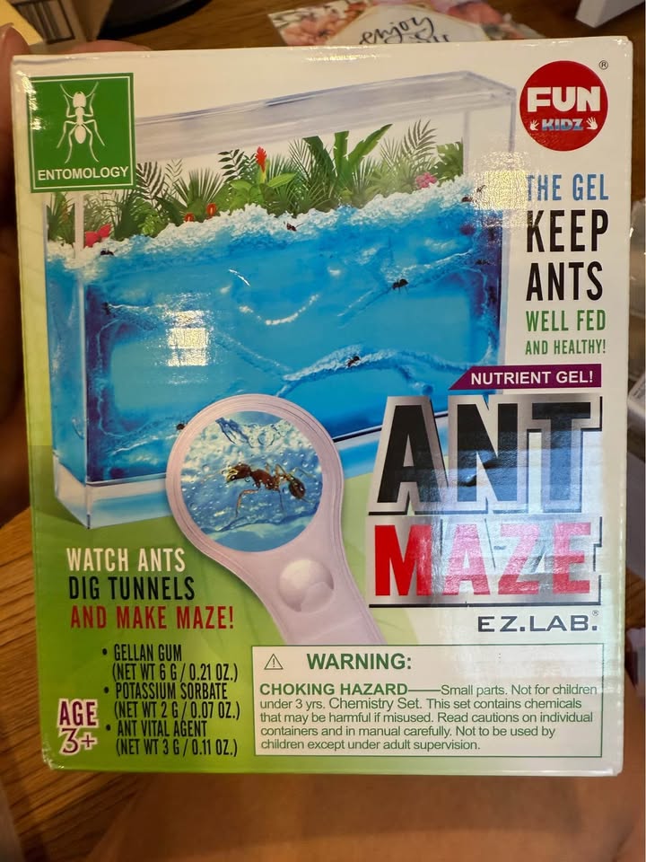 Fun Kidz Ant Maze EZ.Lab - photo 2