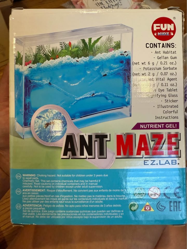Fun Kidz Ant Maze EZ.Lab - photo 3