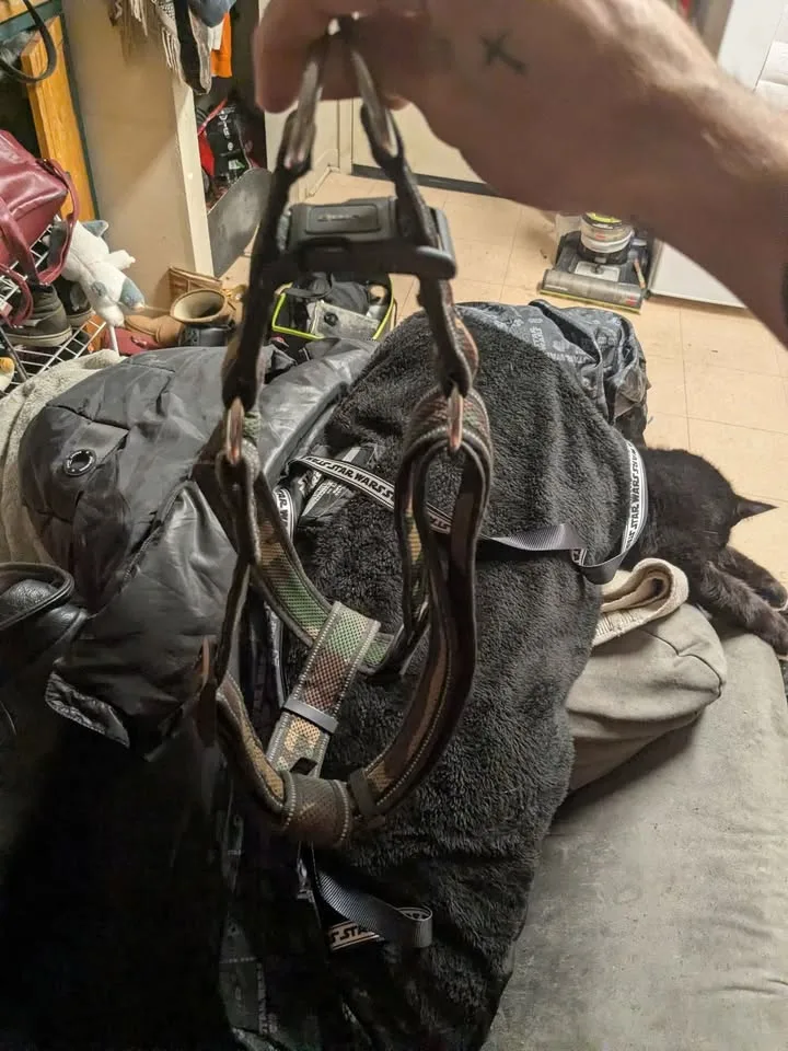 Jump Dog harness XL image indicator(4)