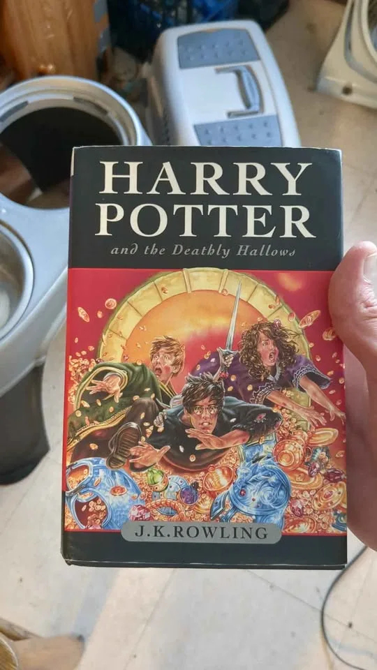 Harry Potter Books image indicator(3)