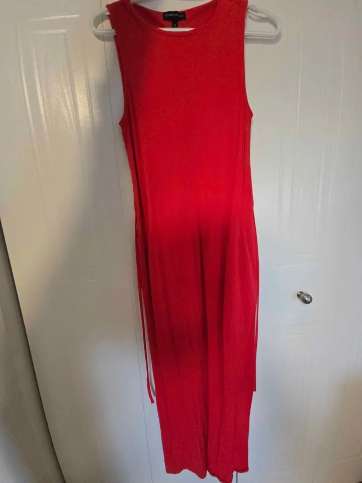 Red dress image indicator(2)