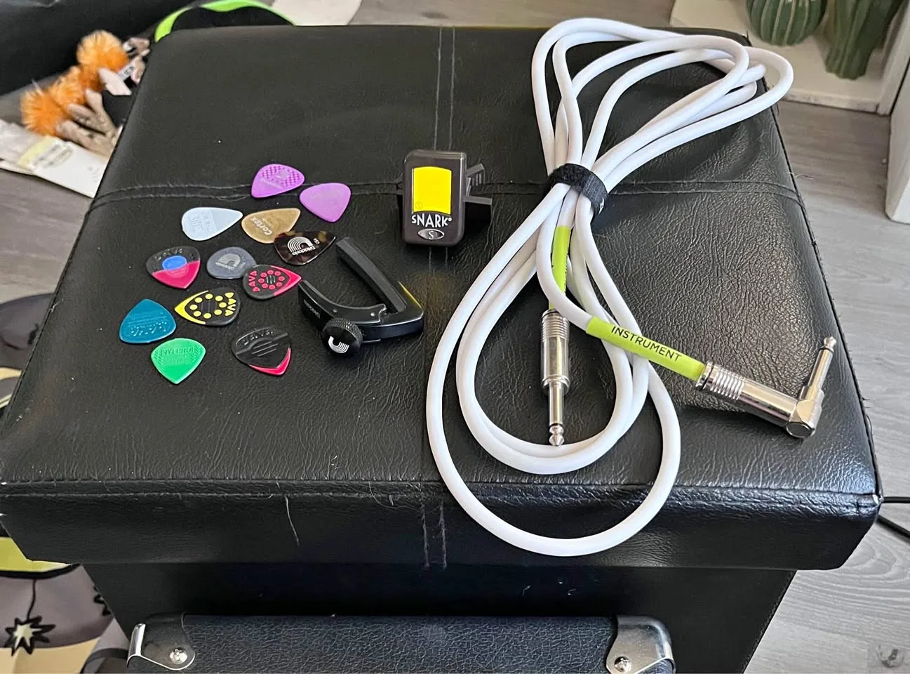 Electric guitar accessories