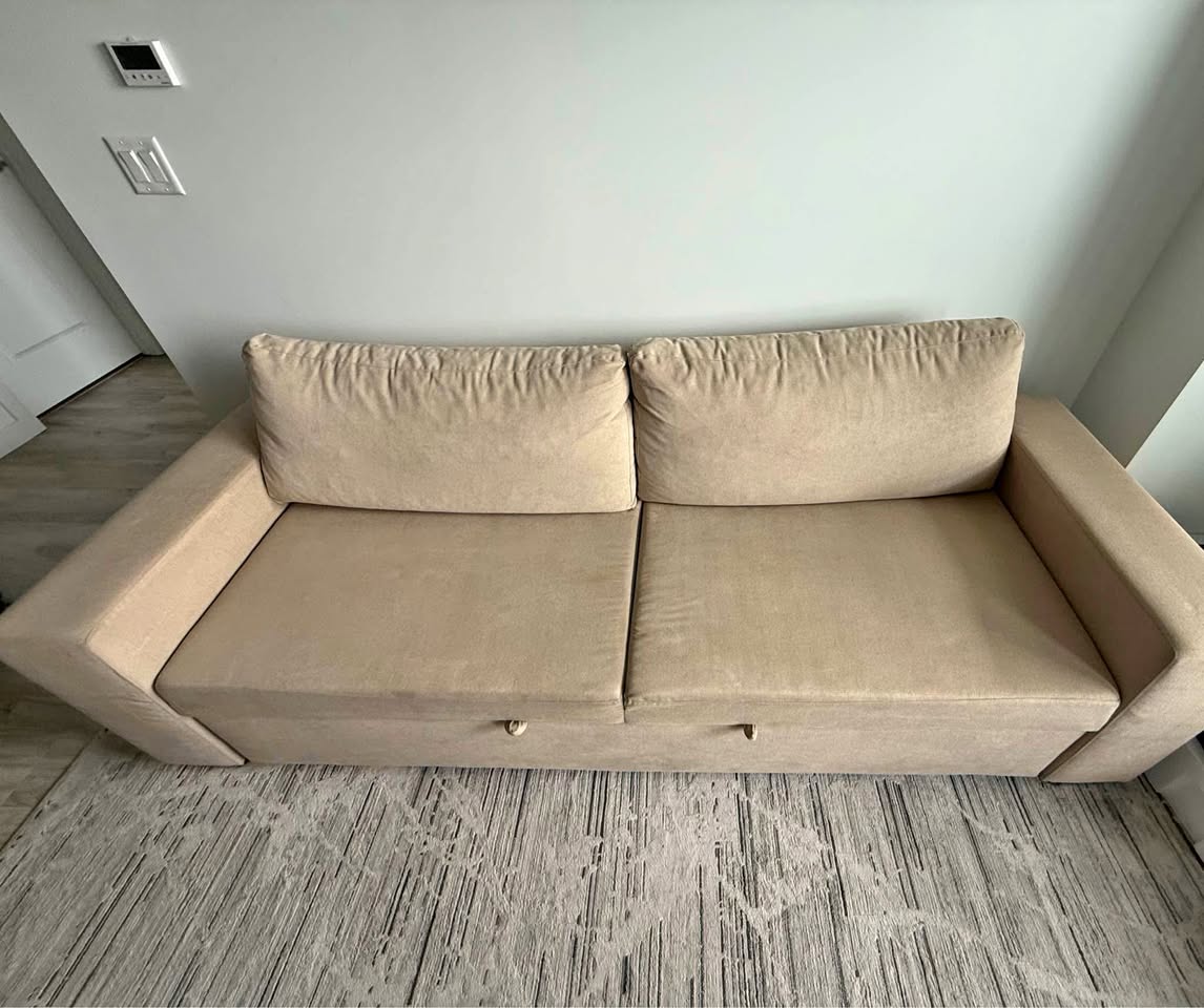 Sofa Bed/Couch