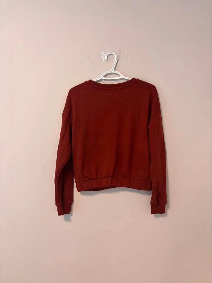 Fall sweatshirt image indicator(2)