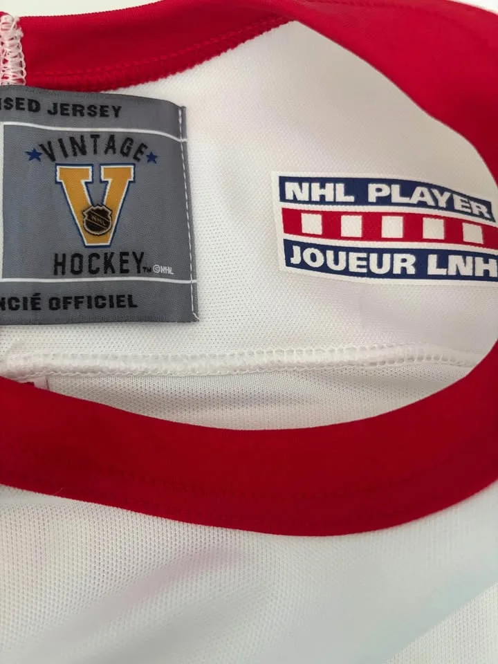 NHL Official Licensed Vintage Jose Theodore Jersey image indicator(4)