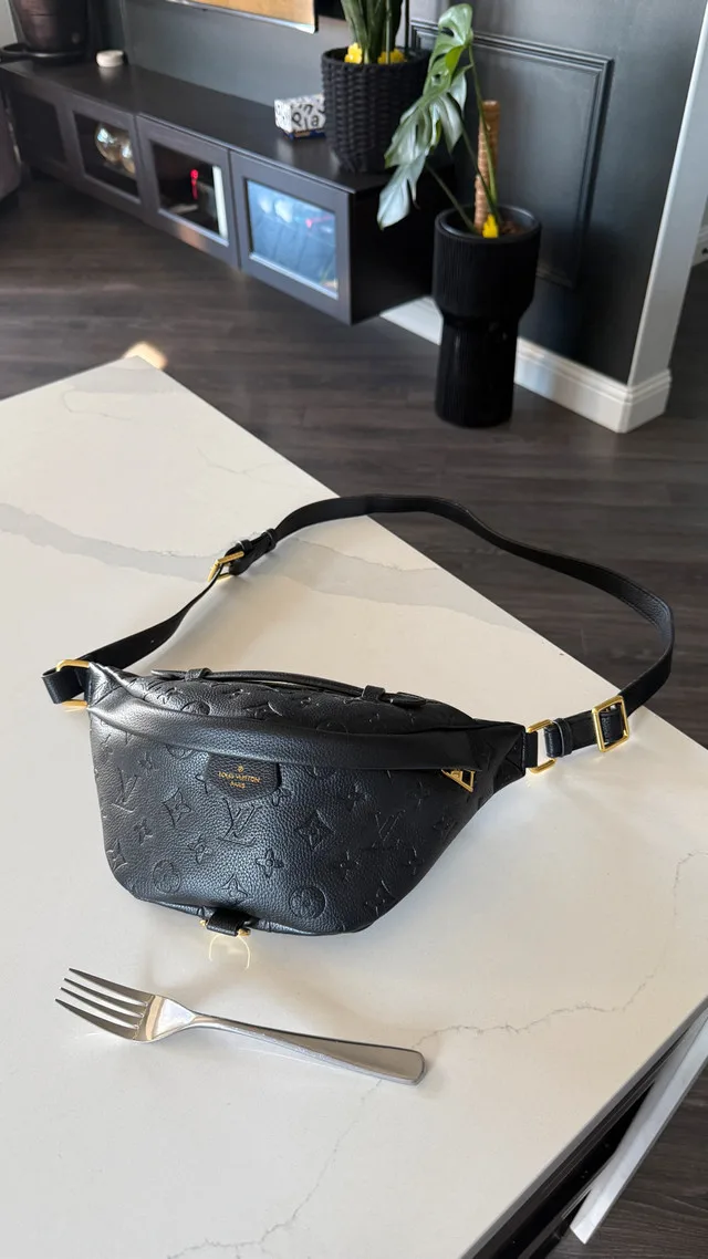 Louis Vuitton Bumbag image indicator(4)