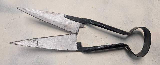 Antique sheep shears