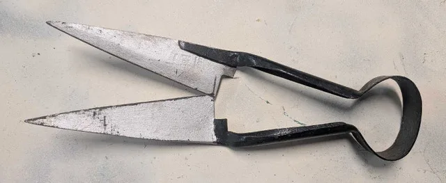 Antique sheep shears thumbnail