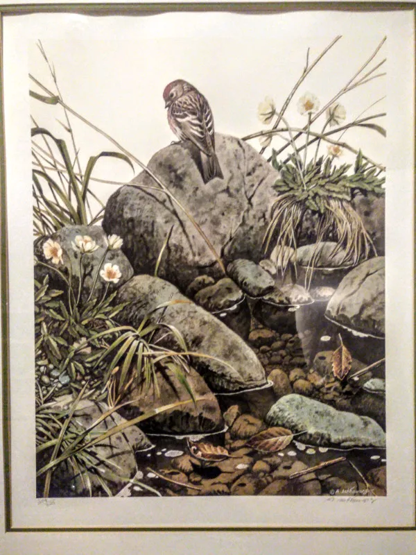 Allan Sakhavarz Call Text Make Other 705-440-9159 image indicator(2)