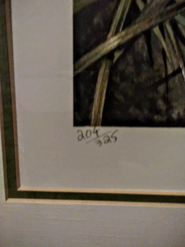 Allan Sakhavarz Call Text Make Other 705-440-9159 image indicator(3)