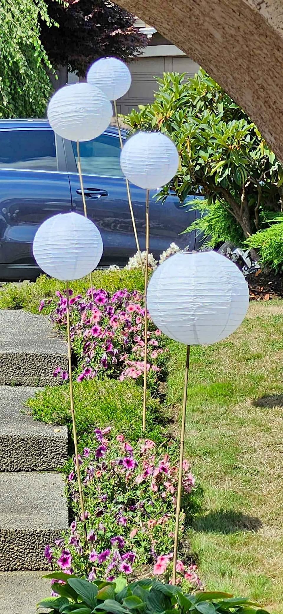 Garden Stakes - 6 ft, Bamboo