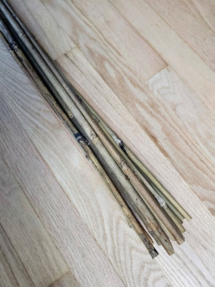 Garden Stakes - 6 ft, Bamboo - photo 3