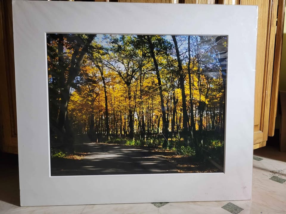 Matted photography ready to frame!