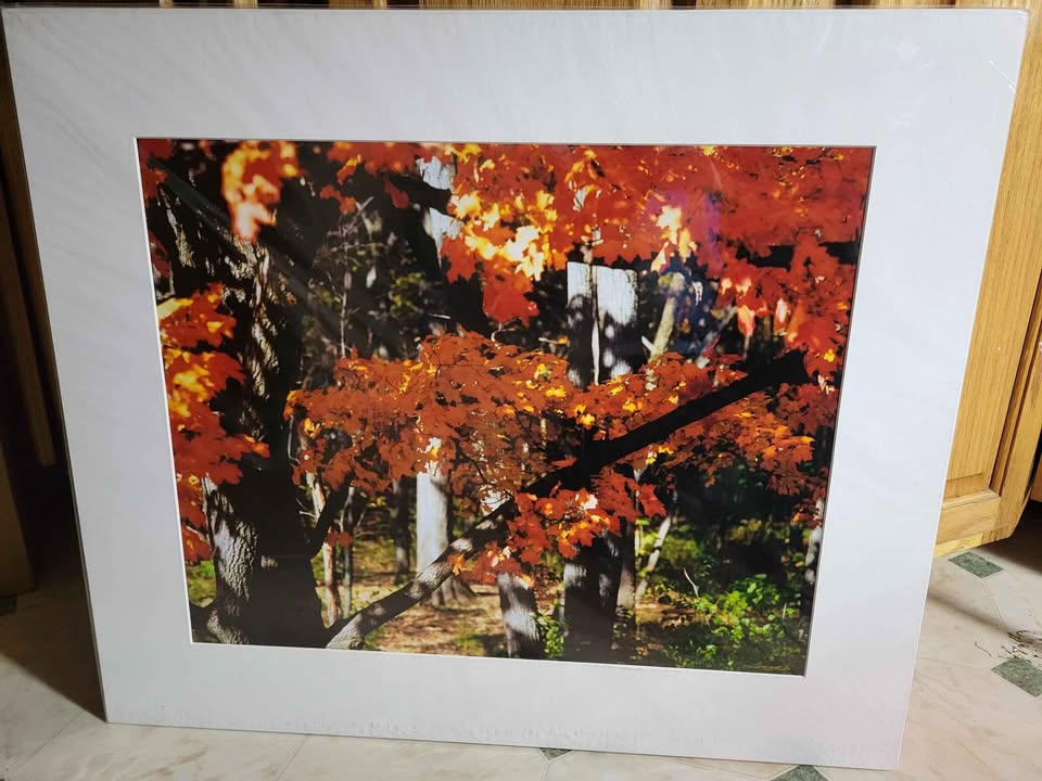 Matted photography ready to frame! - photo 2