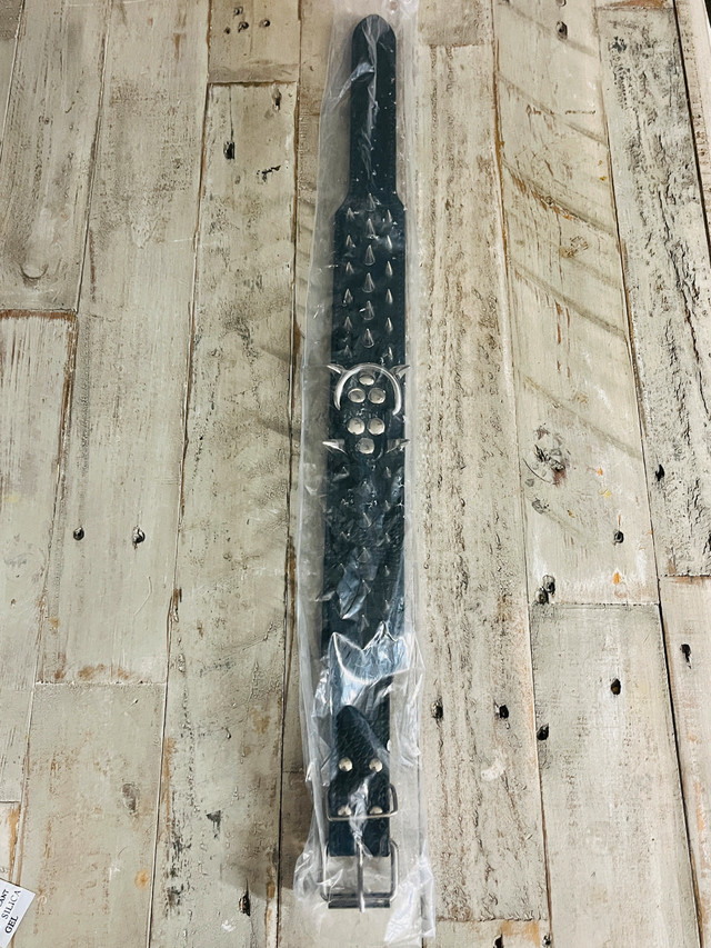 Spiked Dog Collar - photo 5