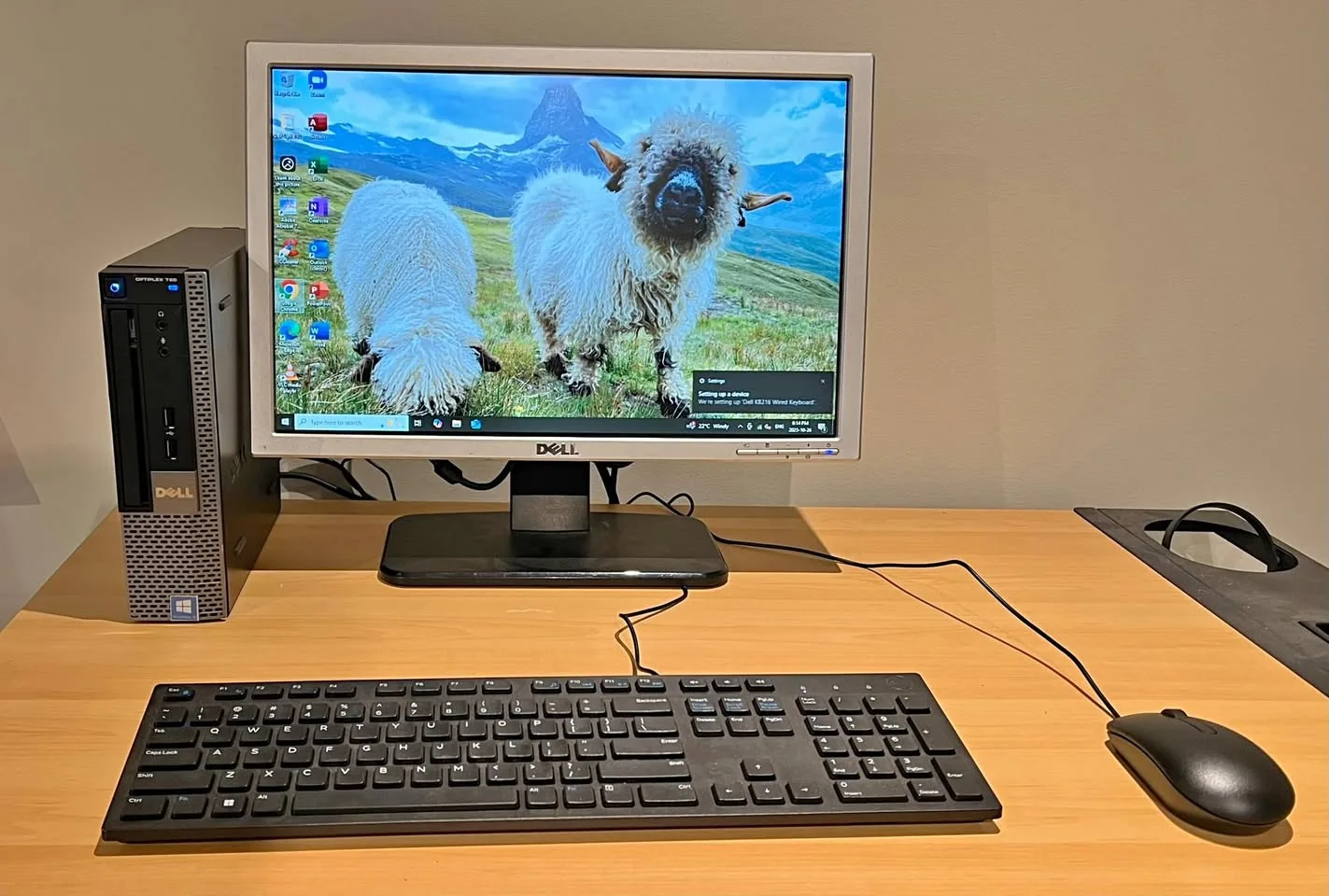 Dell Ultra Small Desktop