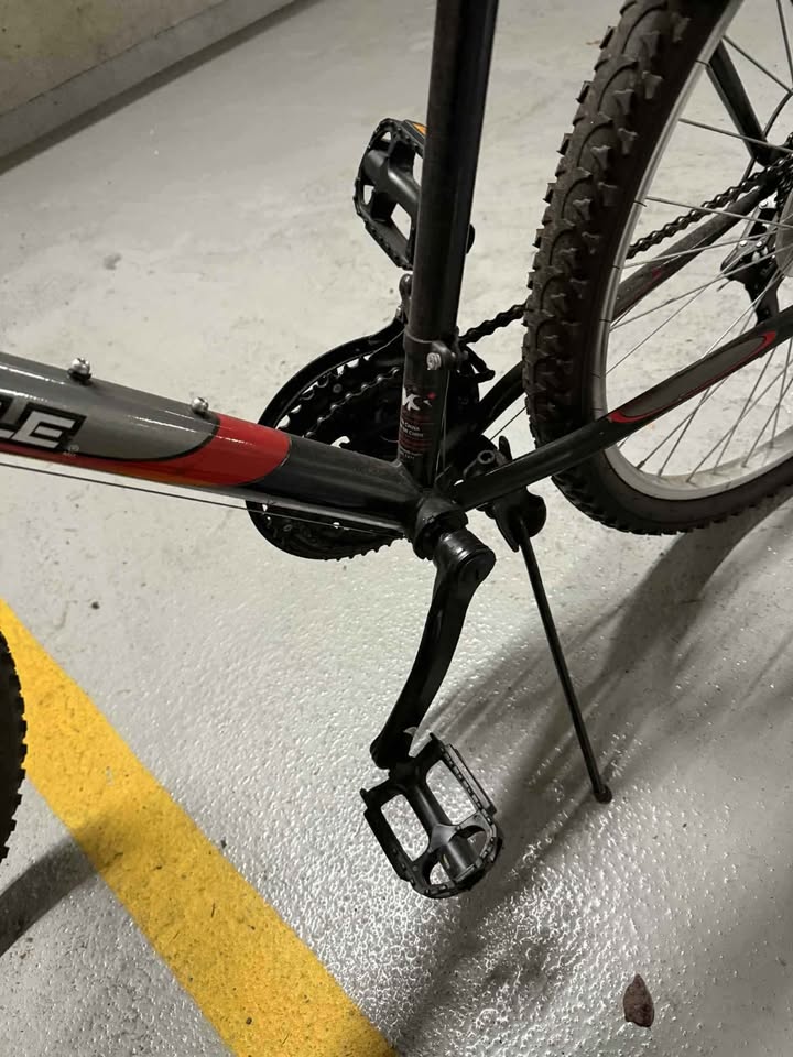 Supercycle bike with lock - photo 3