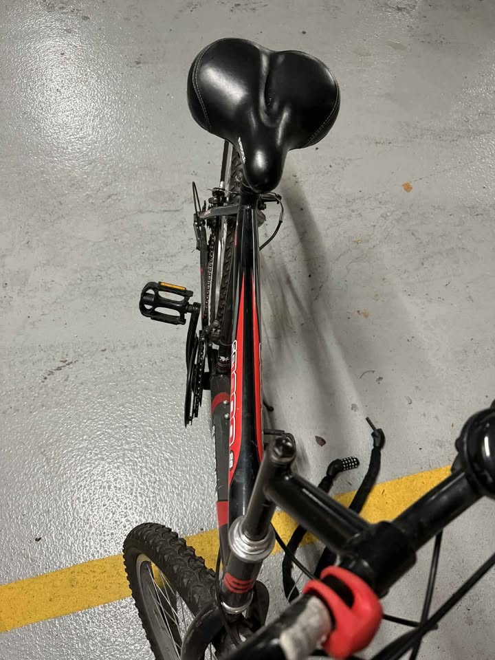 Supercycle bike with lock - photo 4