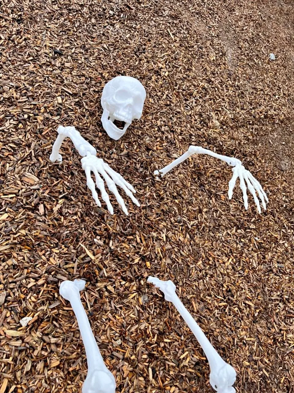 Front yard halloween decor thumbnail