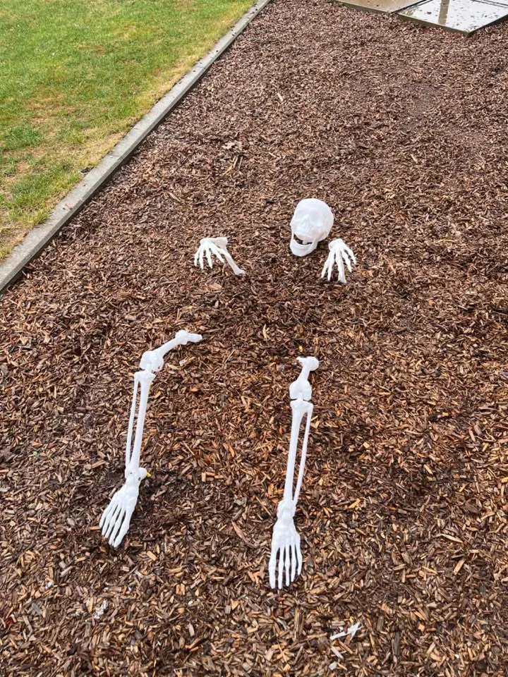 Front yard halloween decor image indicator(2)