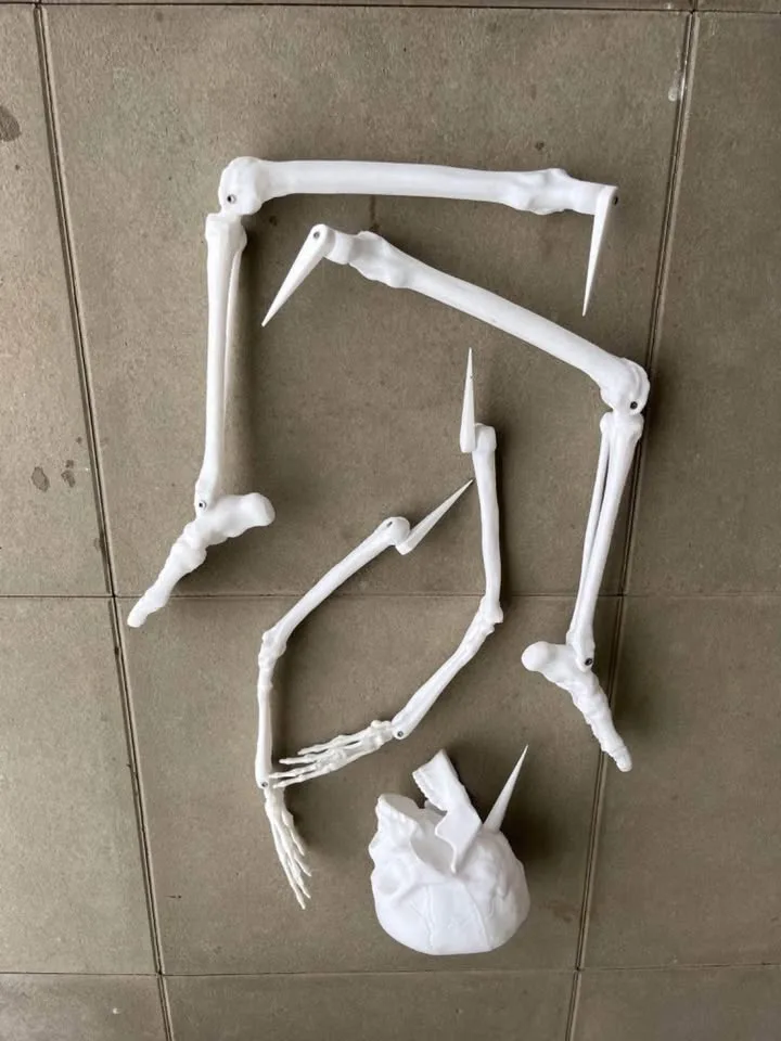 Front yard halloween decor image indicator(3)