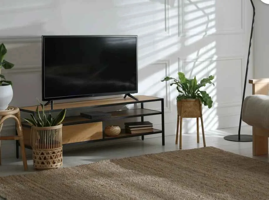 ONN PL DVD Player image indicator(6)