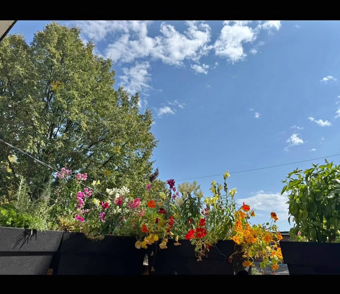 Over Balcony Planters