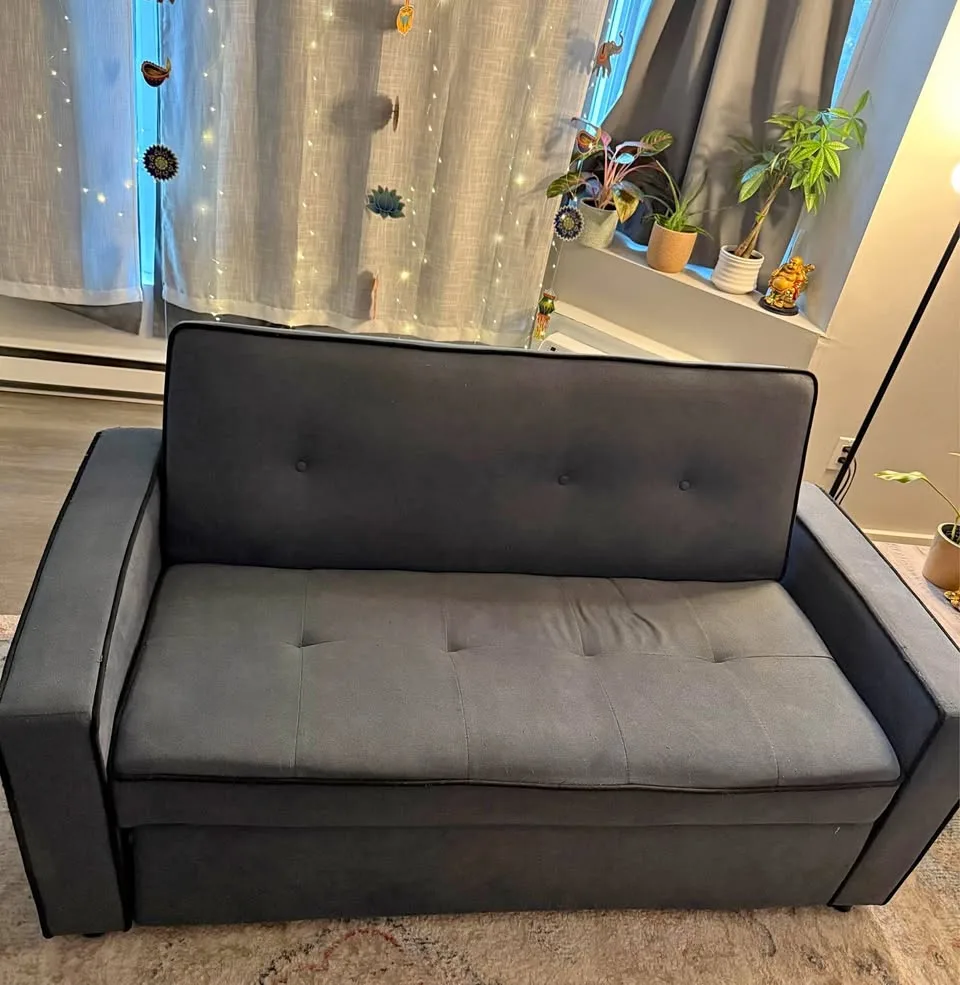 Pull-out couch / Sofa bed
