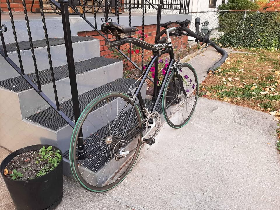 Softride Triathlon TRI road racing bike - photo 2