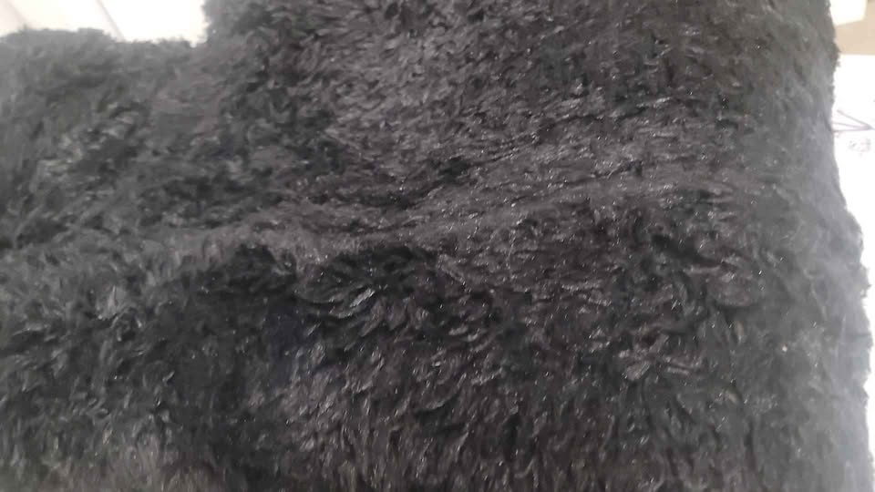 8×5 Antrese Shag Area Rug - photo 3