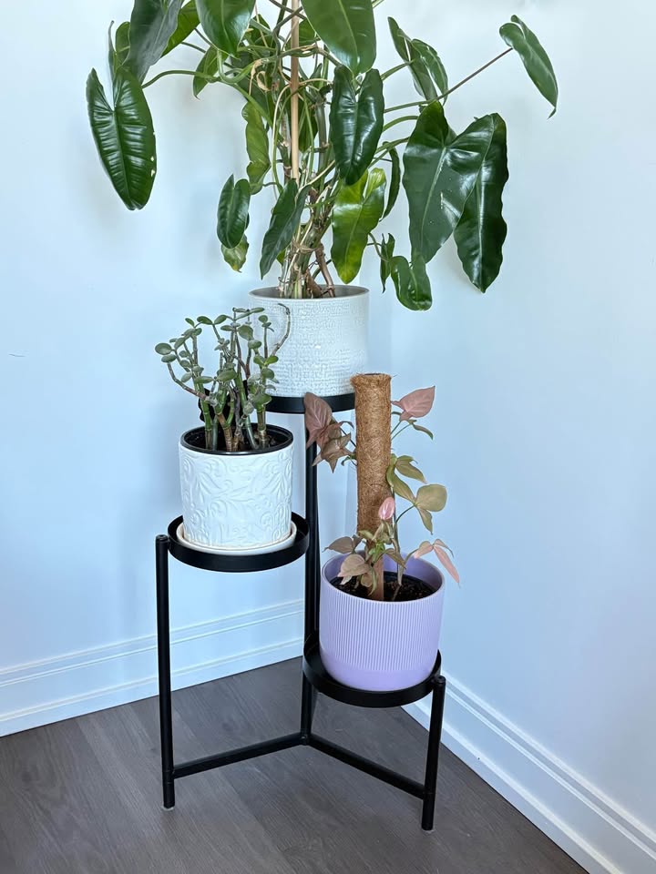 IKEA OLIVBLAD Multi Plant Stand – Black, 58 cm (22 ¾”) - photo 2