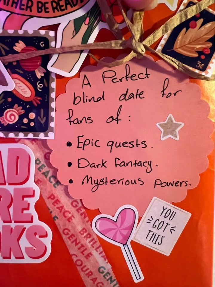 Blind Date with a Book Bundles 💖 image indicator(4)