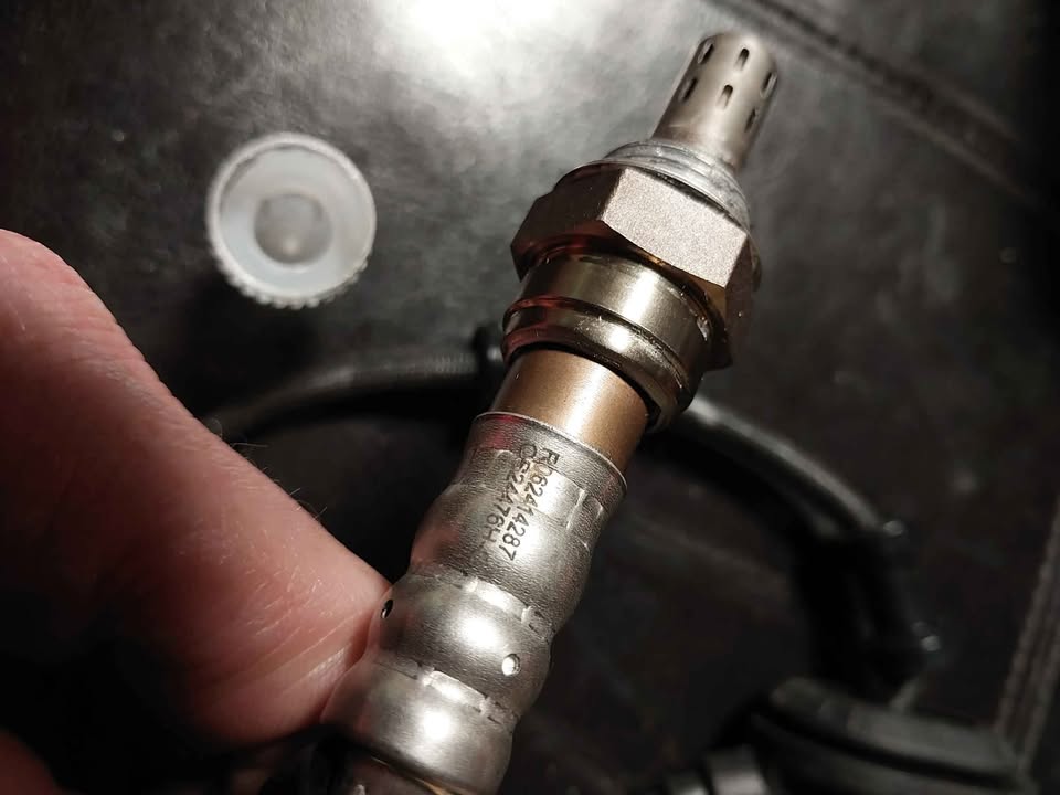 Walker Oxygen Sensor – OS24476H-C / 250-24476 - photo 5