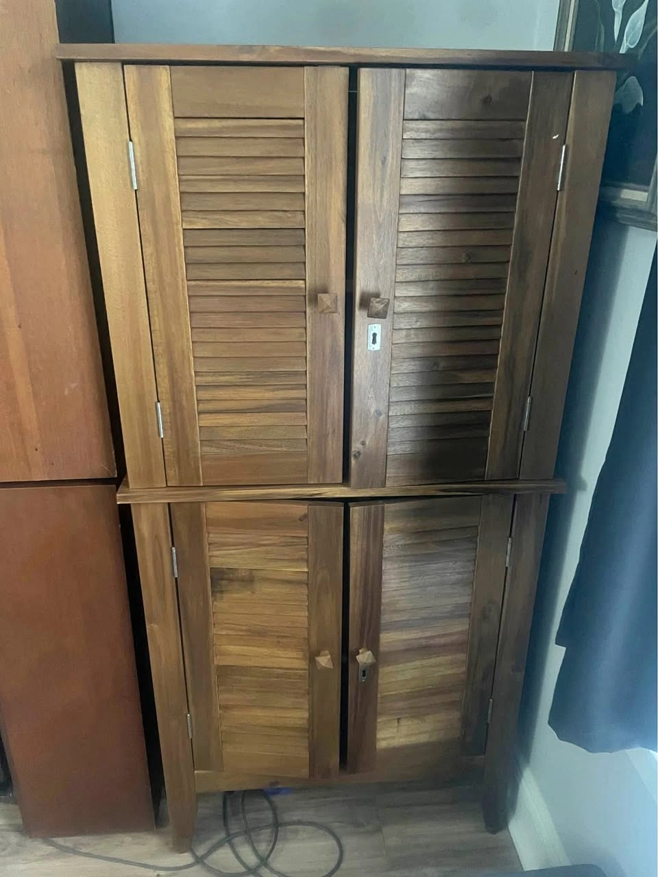 Cabinet for backyard