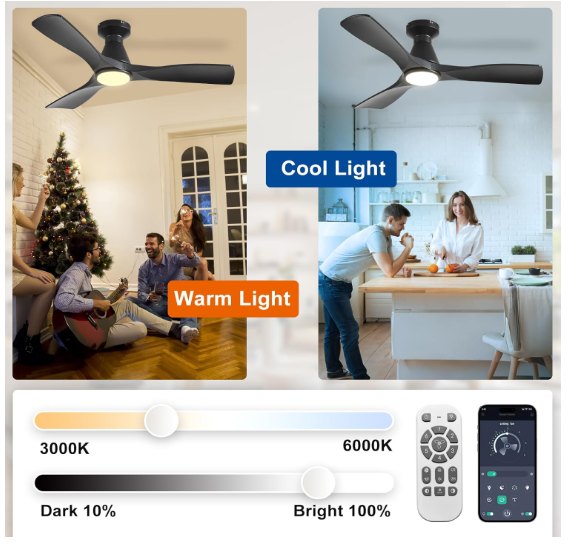 Depuley 42" ceiling fan with lights black - photo 3