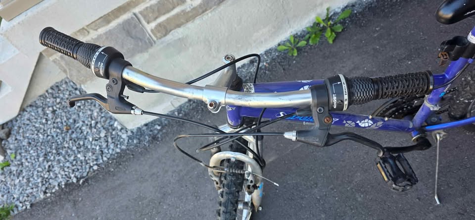 Woman bicycle - photo 2