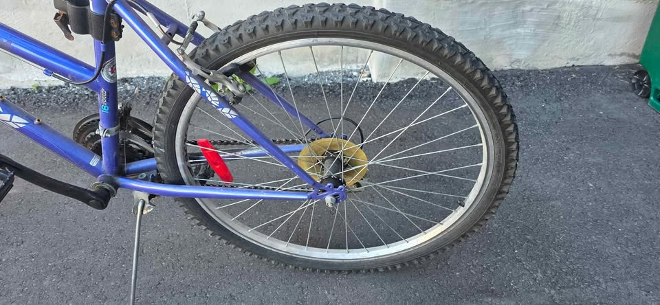 Woman bicycle - photo 4