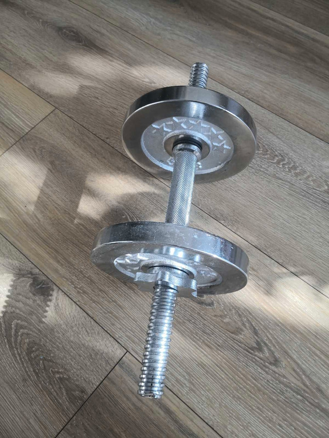 Single Adjustable dumbell