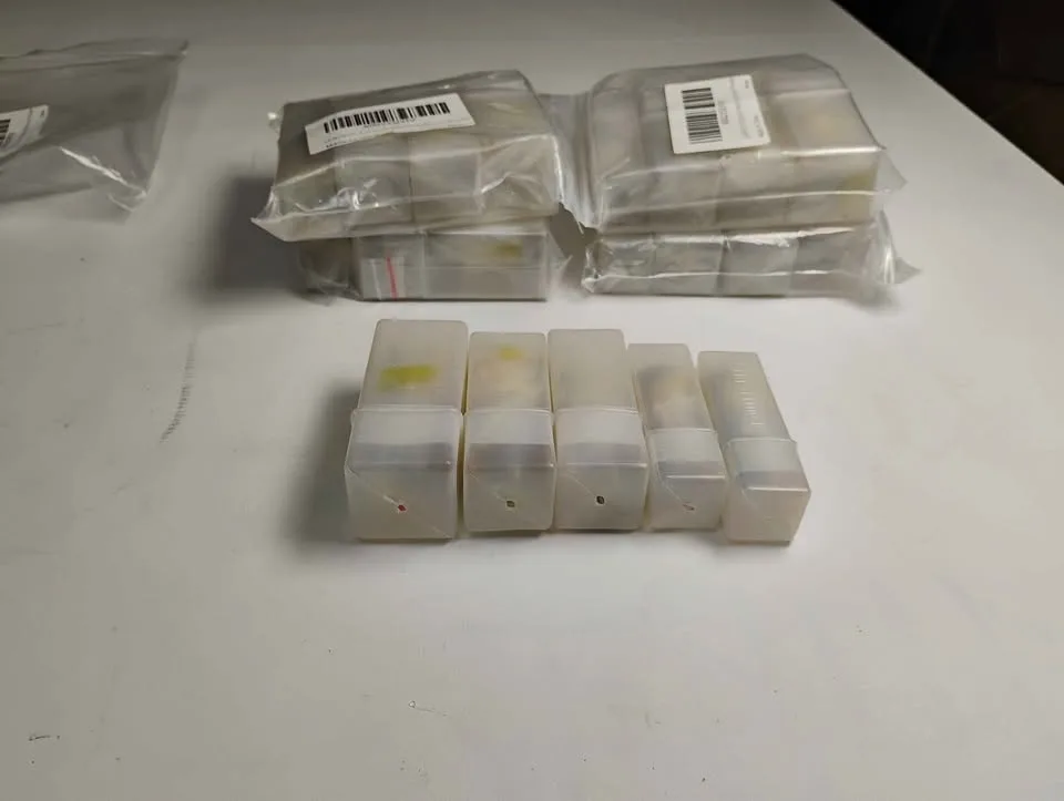 WOLFRIDE Bullnose Router Bit Set 1/2" Shank – 5 pcs (35 CAD) image indicator(3)