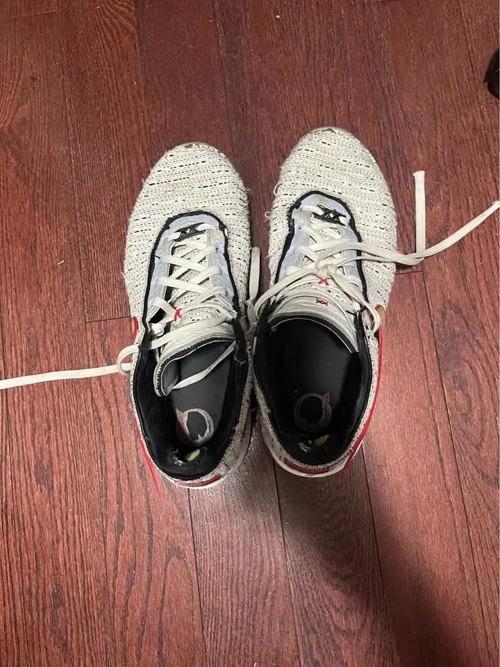 Lebron 20s for sale - size 11 image indicator(4)