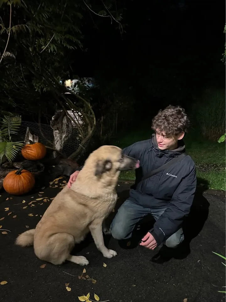 Any type dog walker(16 years old) image indicator(4)