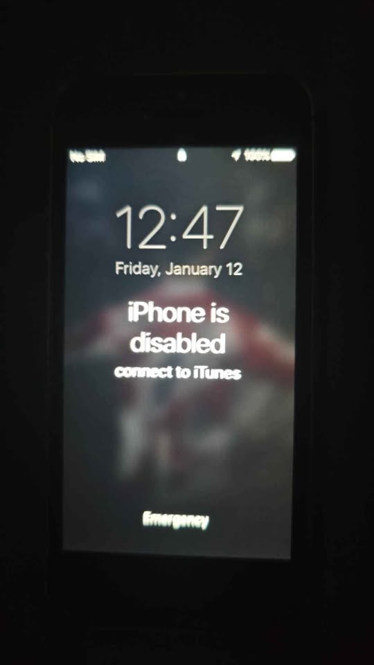 iPhone 5s and iPod touch 3rd gen - photo 4