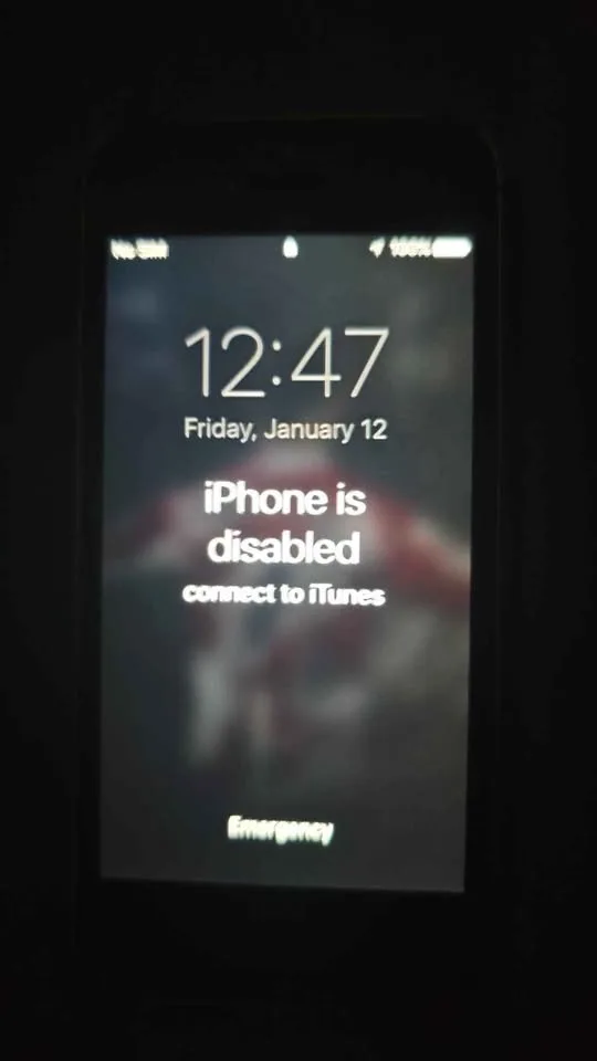 iPhone 5s and iPod touch 3rd gen image indicator(4)