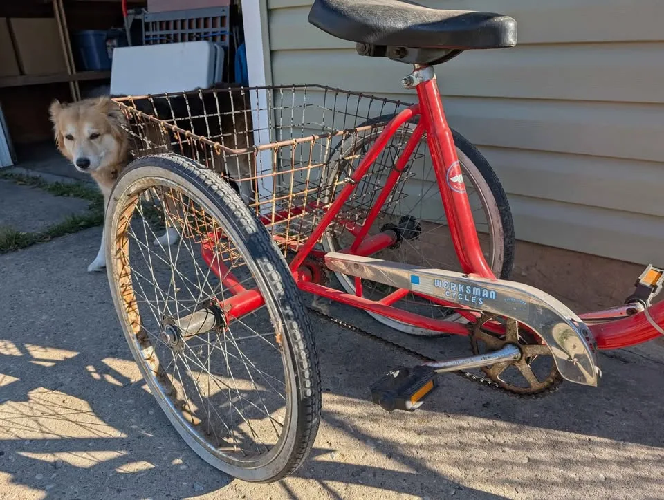 Vintage tricycle bike image indicator(4)