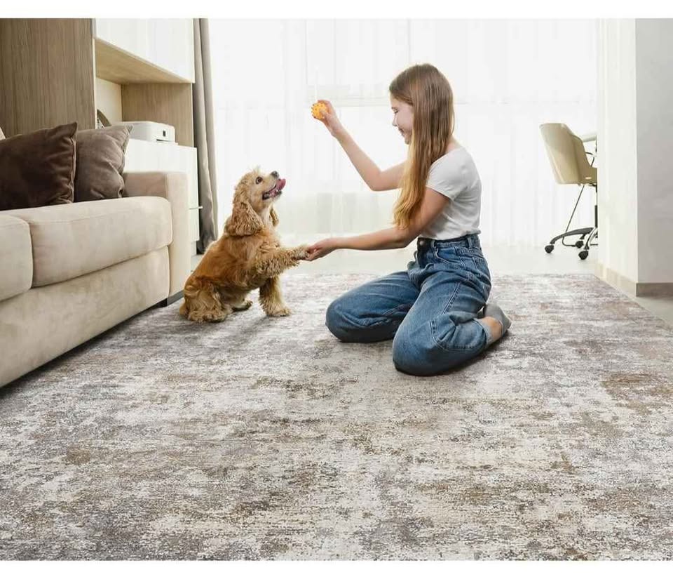 8x10 Area Rug Living Room Rugs - Washable Neutral Modern - photo 3