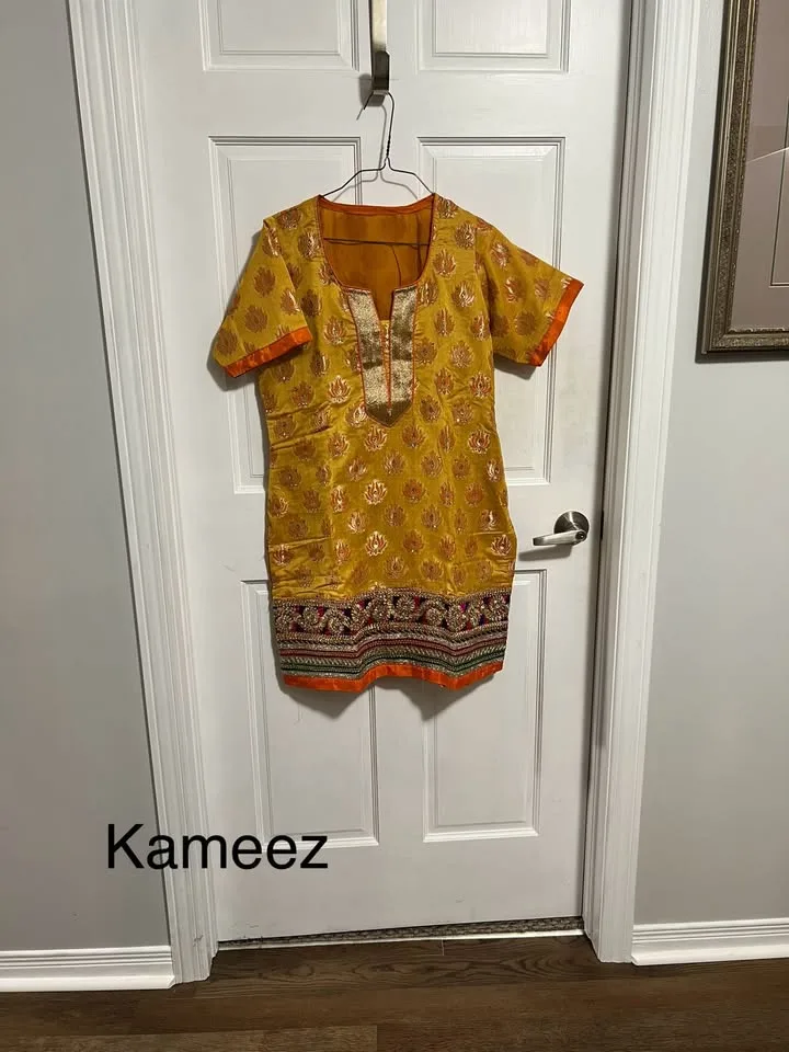 Ladies Indian Suits, Sarees, Lenghas & More – $15 image indicator(10)