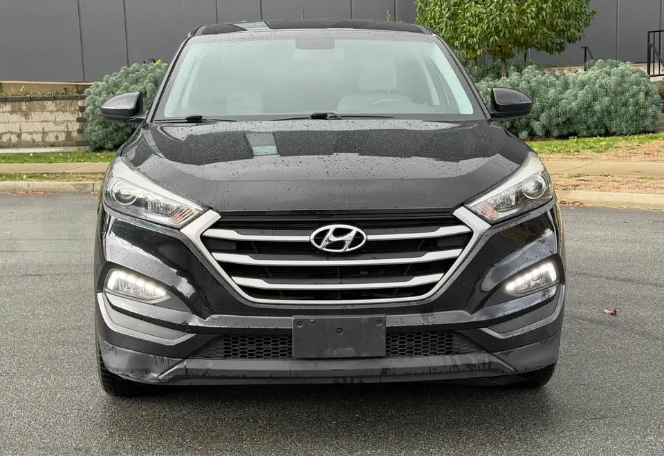 2017 Hyundai Tucson image indicator(7)