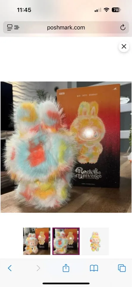 Labubu Rock The Universe SPECIAL LIMITED EDITION image indicator(3)