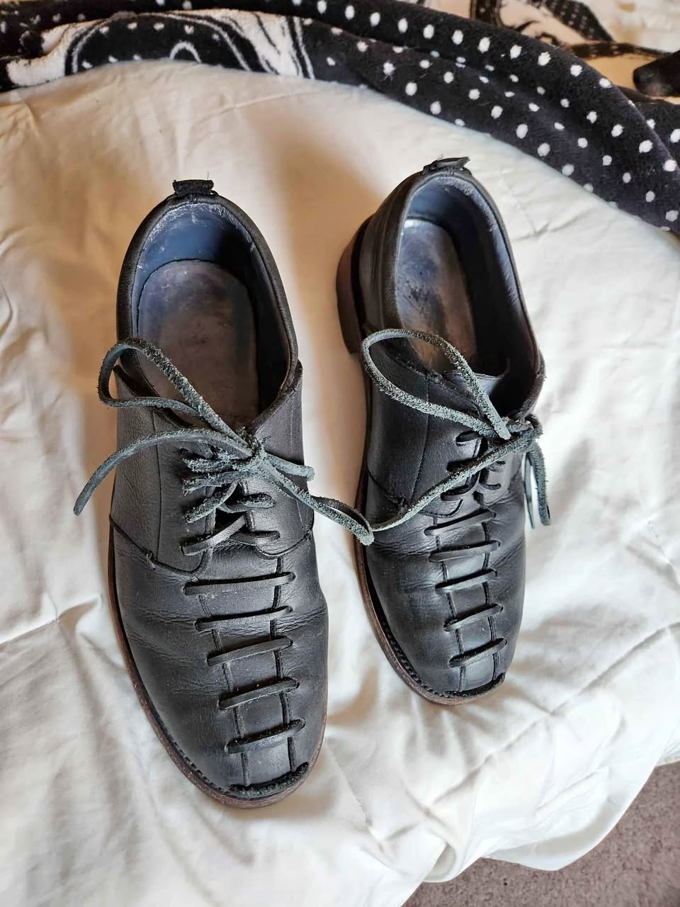 Gents Fluevog Dress Shoes, "Gusto" Derby Lace Up